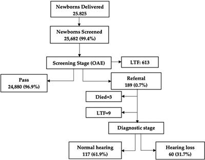 Evaluation of newborn hearing screening program in Jordan